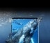 Front view of a semitransparent smartphone in portrait mode against an image of a diver and a whale swimming underwater.