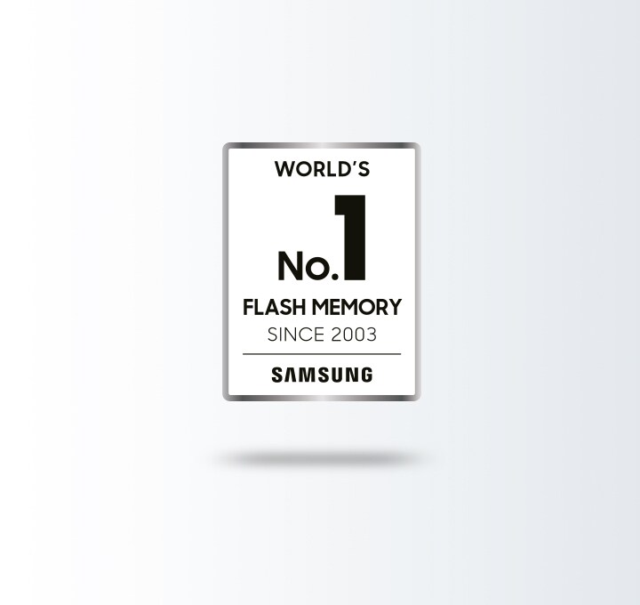 An illustrative image of seal of World's No. 1 Flash Memory.