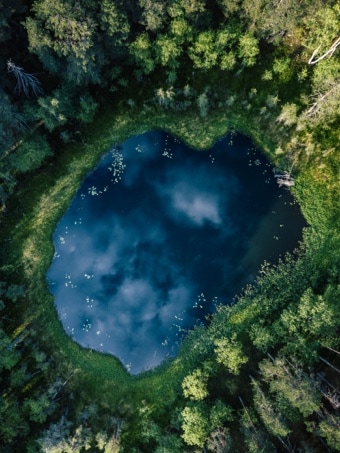 풀 숲 사이에 작은 연못에 우주가 비춰집니다.