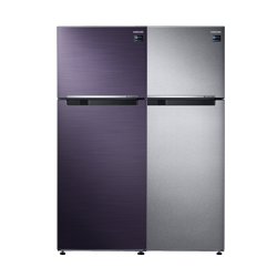Samsung Twin Cooling Refrigerator, 2 Doors - Singapore