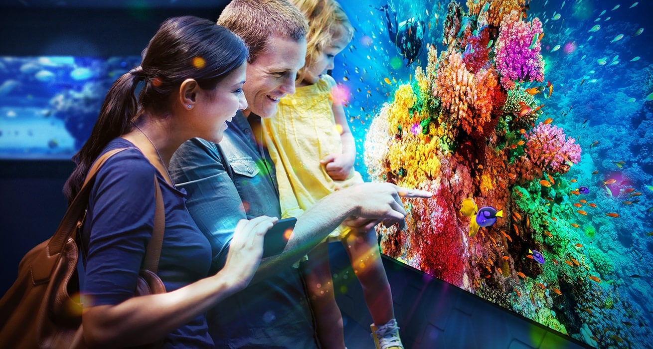 An image showing a family looking at a Samsung QHH display unit that is showing clear video footage of an underwater sea-scape.