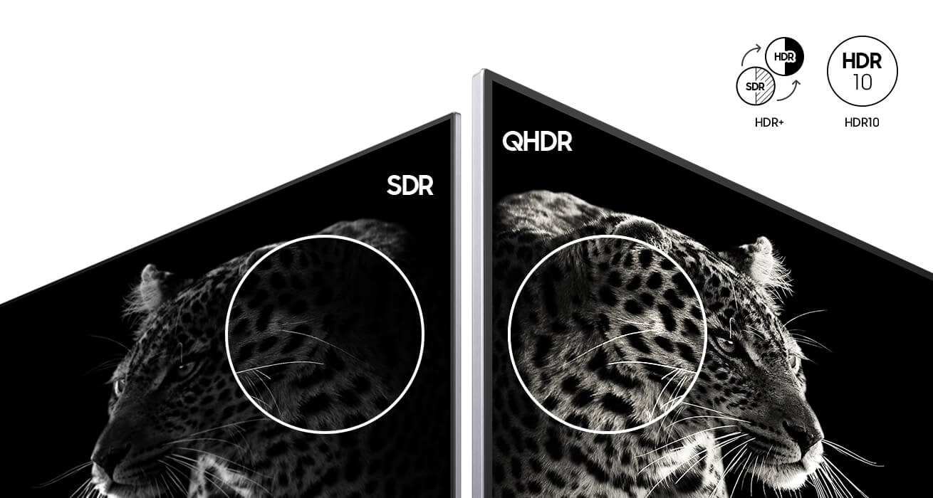 An image comparing a previous Samsung model that supports SDR with Samsung's QHDR-enabled QHDR display. The image on the left does not show the black and white contrast of a leopard in fine detail, while the image on the right shows an exceptionally detailed image of the same black-and-white leopard. On the upper right, HDR+ and HDR10 icons are displayed, indicating the SDR to HDR upgrade.