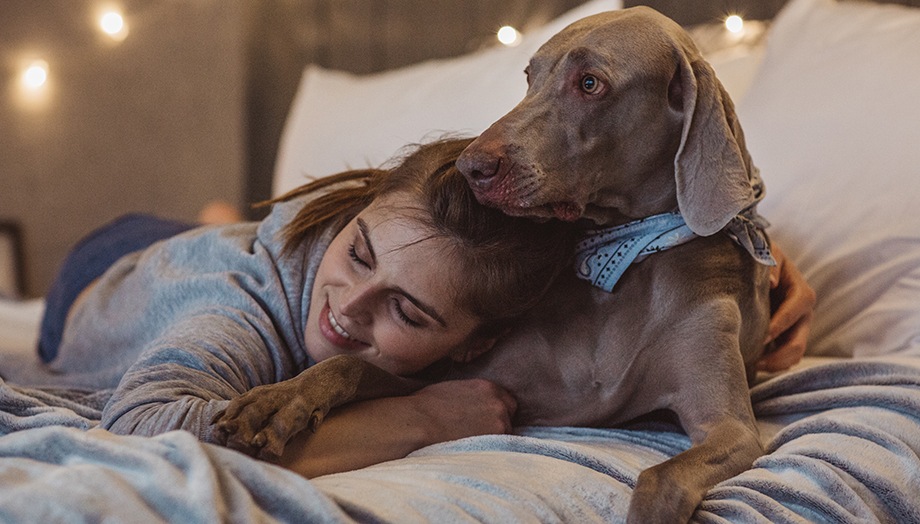 Samsung smart tv is streaming spotify softly while A woman snuggles with her dog on the bed.