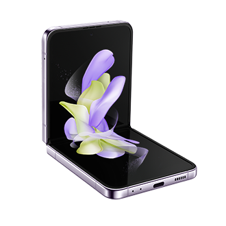 front Bora Purple