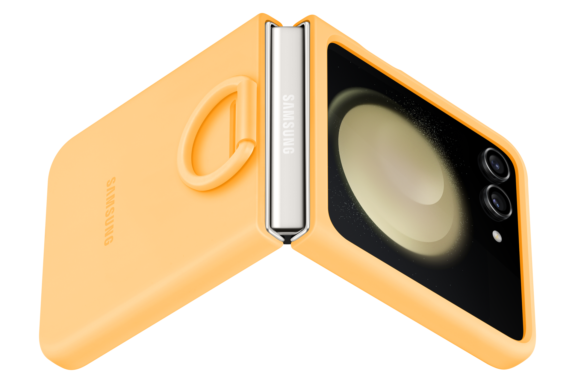 dynamic Apricot