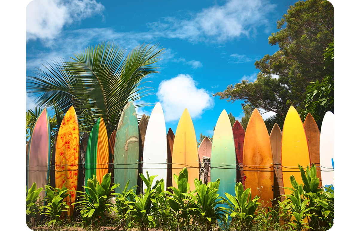 Ultra-wide angle icon activated, Ultra-wide angle are above a picture showing various surfboards lined up on a wall in bright, sunny daylight. With the Ultra-wide angle icon activated, the shot includes many more surfboards as well as much more of the sky, palm trees and surroundings.