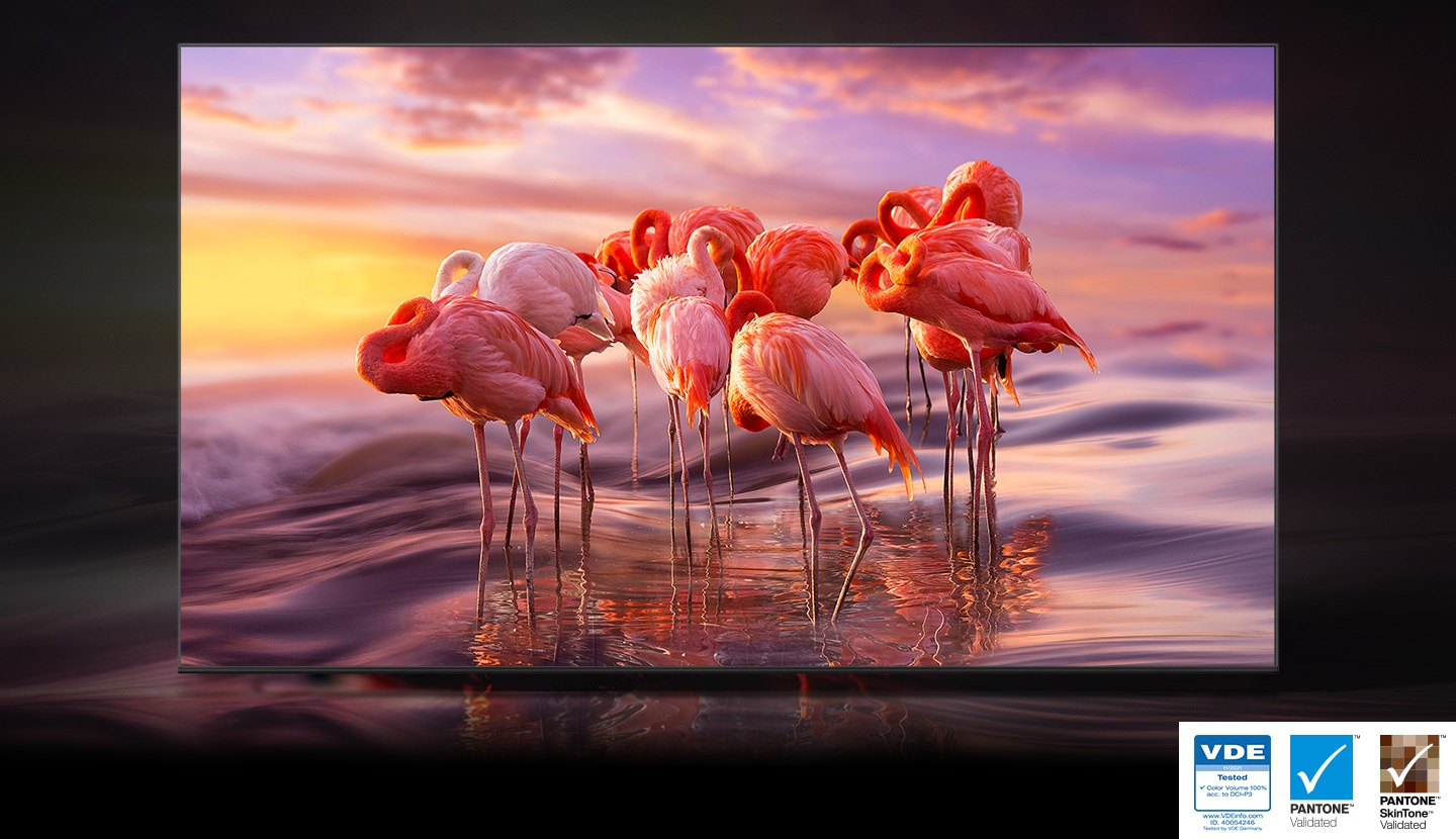 The QLED displays a group of flamingos in the water to demonstrate color shading brilliance of Quantum Dot technology. 