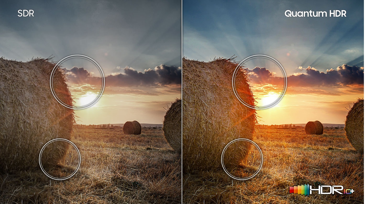 Compared to SDR technology, the sunset prairie on the right which has HDR10+ logo shows a wider range of contrast created by Quantum HDR technology.