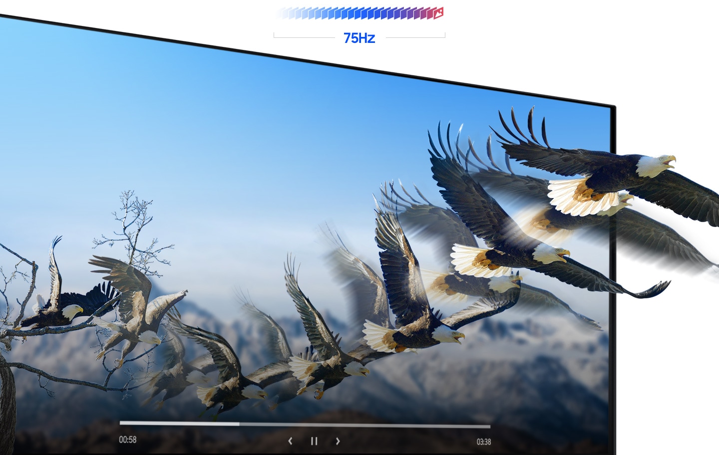 A bird is flying off the monitor screen, showing the fluid picture delivery of the 75HZ screen.