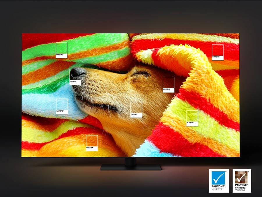 A dog is wrapped in a colorful blanket on a TV screen. Pantone validated and Pantone SkinTone validated colors are emphasized. 
