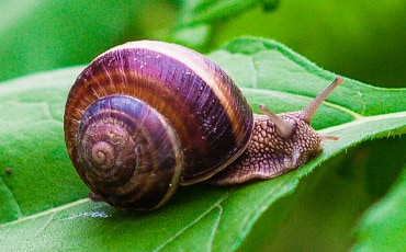 Snap and share your special moments