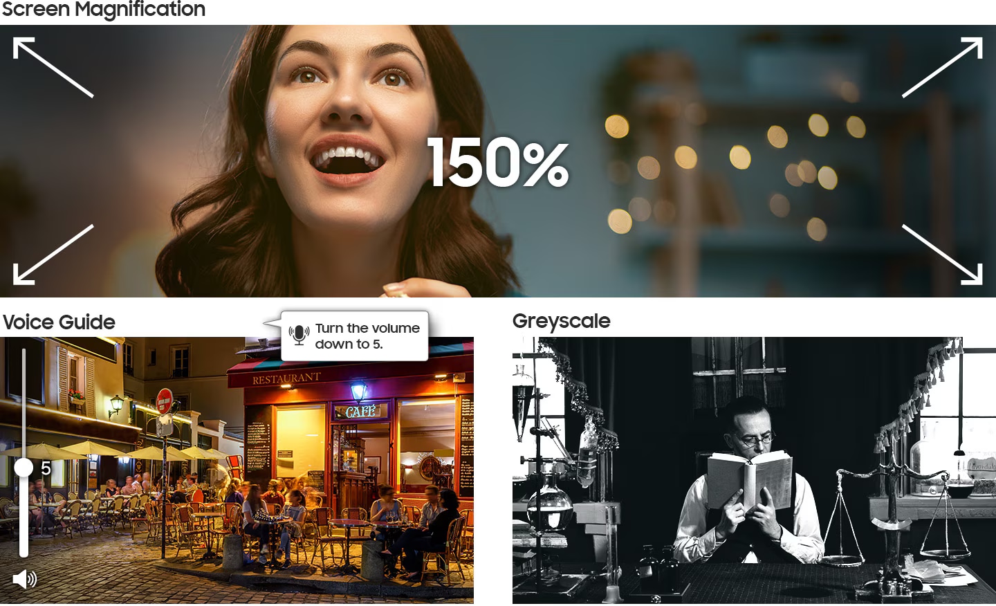 3 features related to accessibility are introduced. The Screen Magnification function that expands the screen up to 150% is explained at the top, the Voice Guide function is shown at the bottom left with a audio description about the volume setting - 'Turn the volume down to 5', and the Greyscale function is shown at the bottom right.