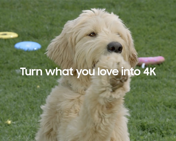 Experience intelligence and realism in 4K