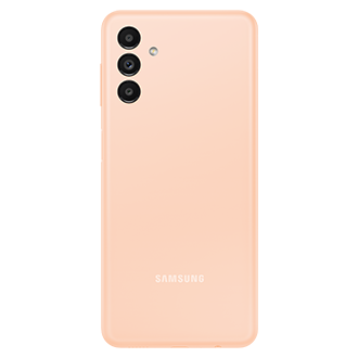 back Orange