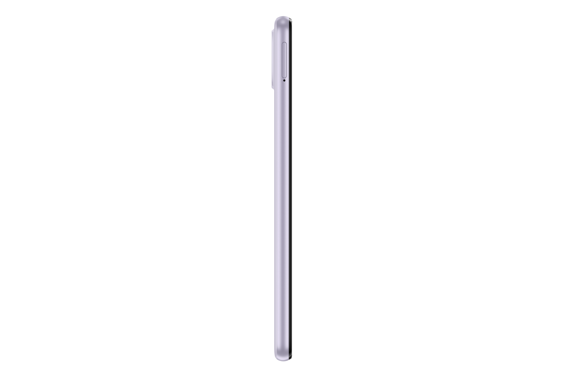 l-side Violet