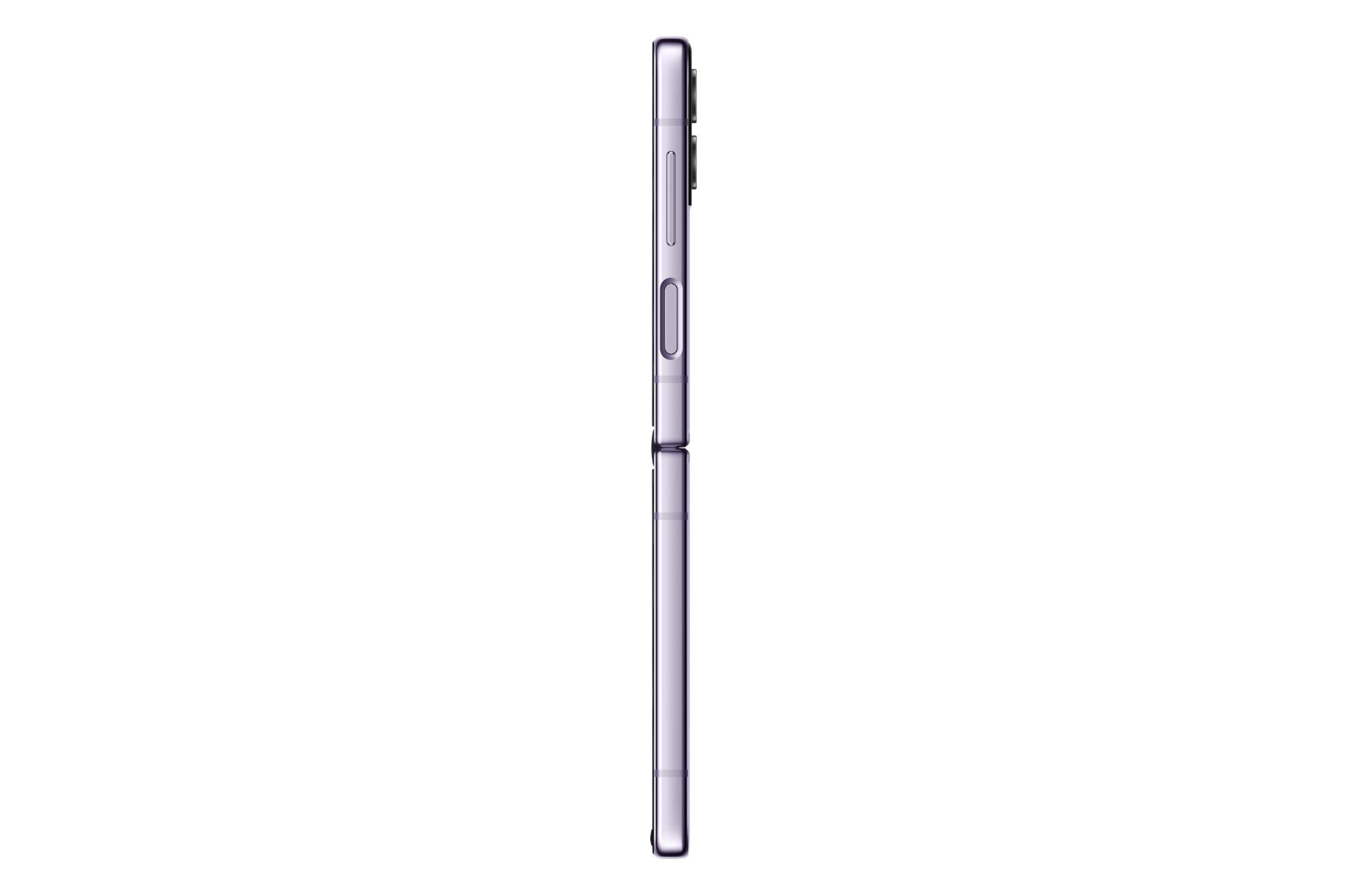 rside Bora Purple