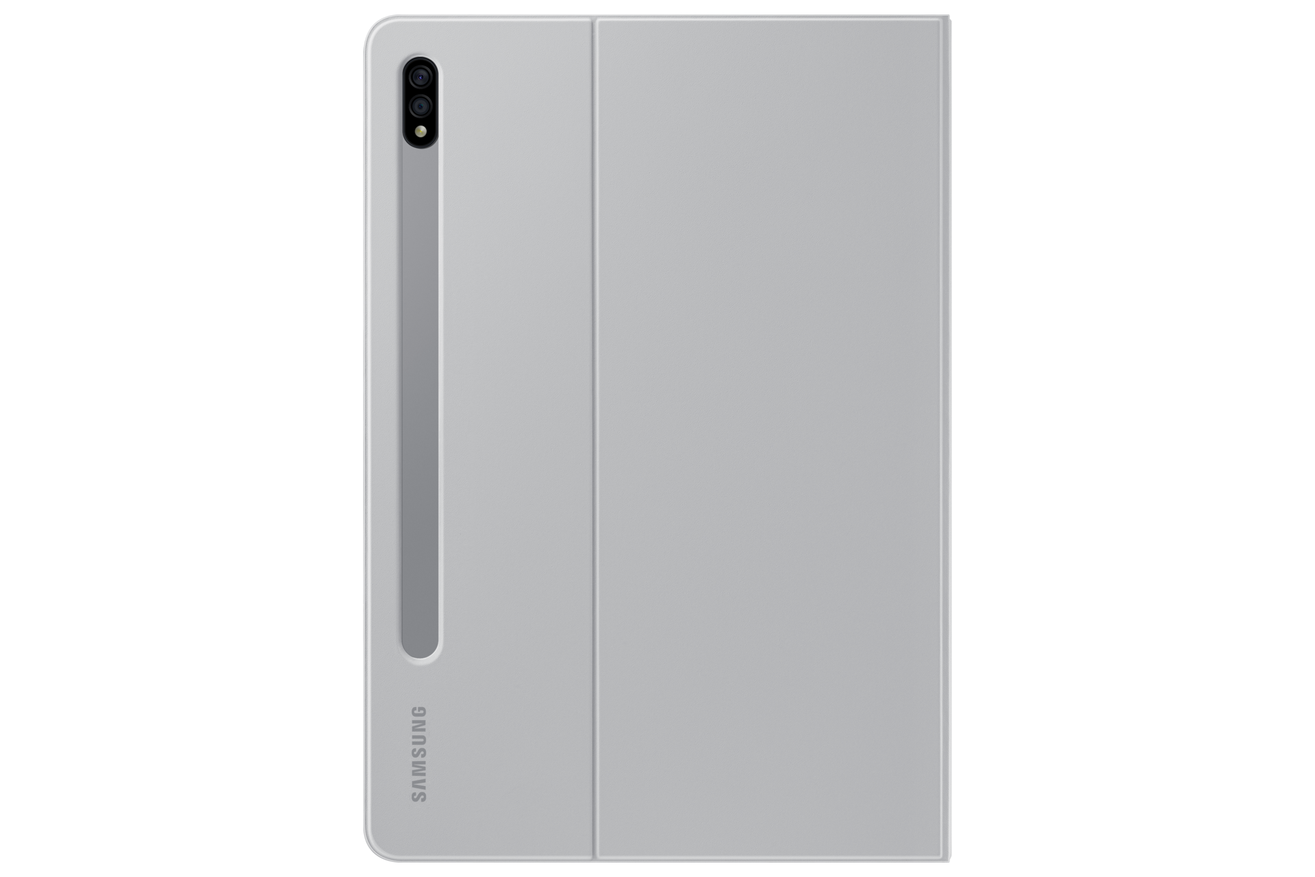 back Light Gray