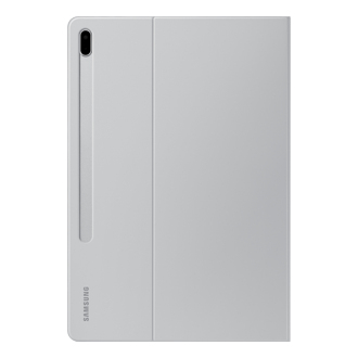 back Light Gray