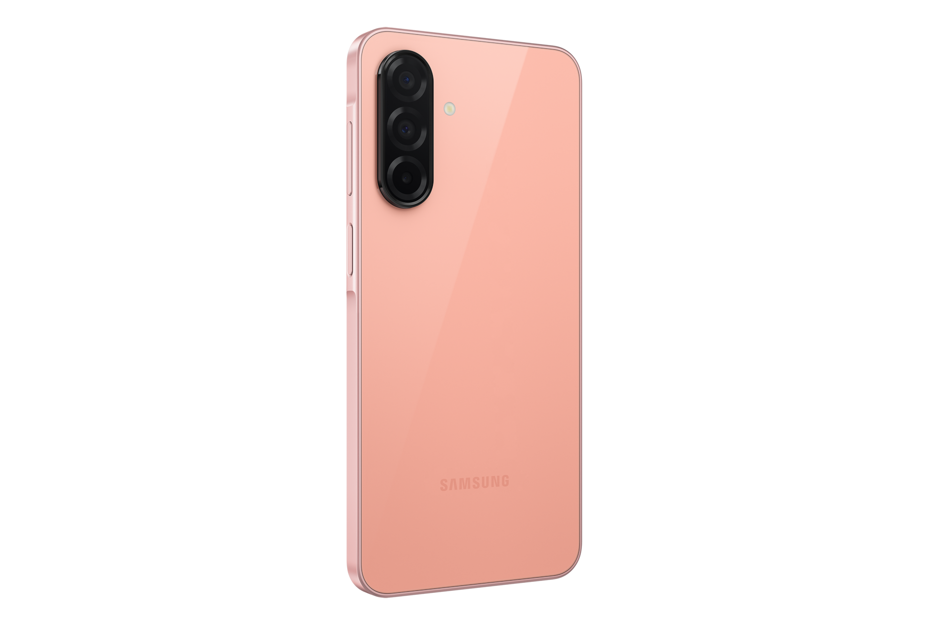 back-l30 Peach Pink
