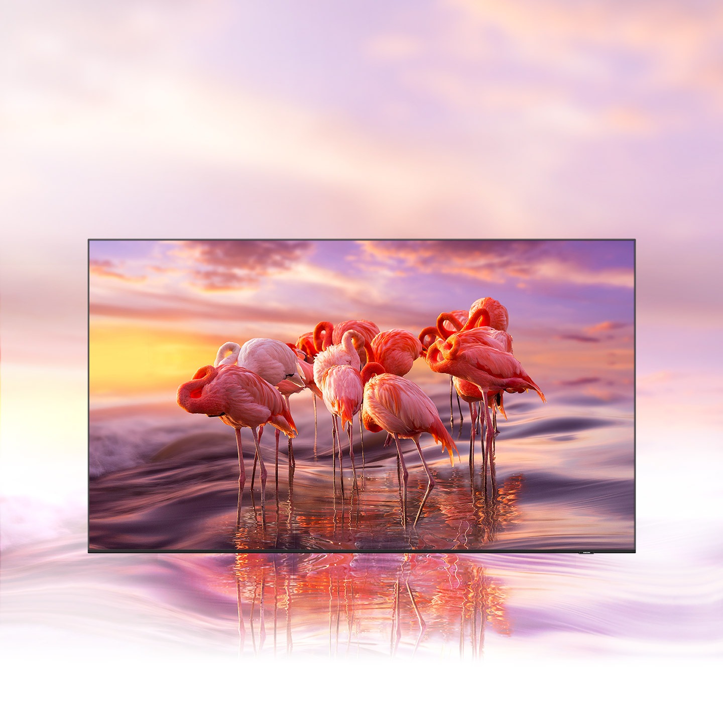 QLED TV displays an intricately colored image of flamingos to demonstrate  color shading brilliance of Quantum Dot technology.