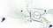 Samsung Refrigerator 385L Digital Inverter Compressor, No Frost, Twin Cooling Plus, TMF, DIT, Air Hygienically, LED Lighting, Inox RT49K5552S8/RT38K5552S8