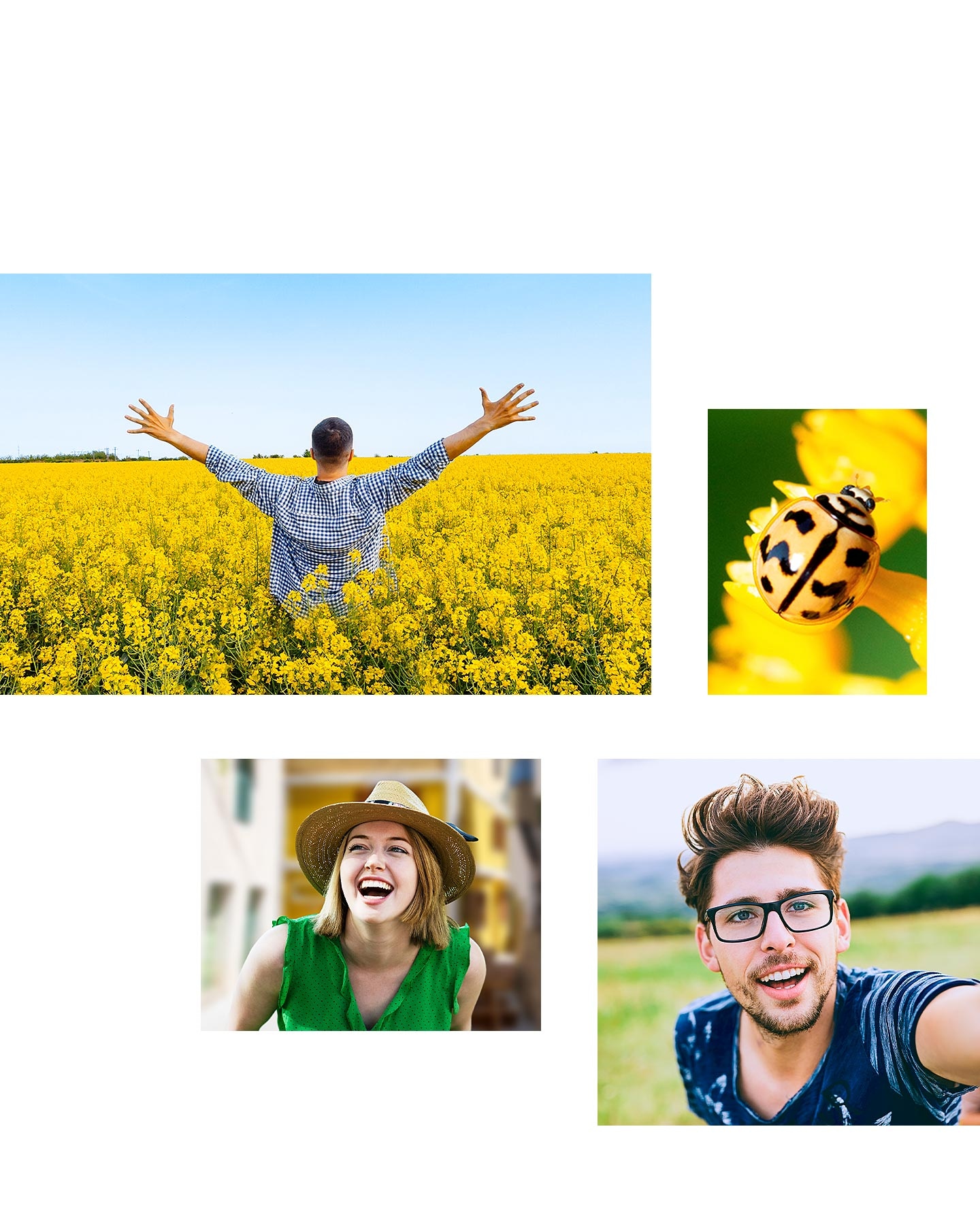 A photo taken with the Main camera shows a man showing his back and spreading his arms wide in the middle of a vast field of yellow flowers. Another photo taken with the Macro camera shows a detailed shot of a yellow ladybug. A photo taken with the Depth camera shows a portrait of a smiling woman. Lastly, a selfie of a man taken with the Front camera shows.