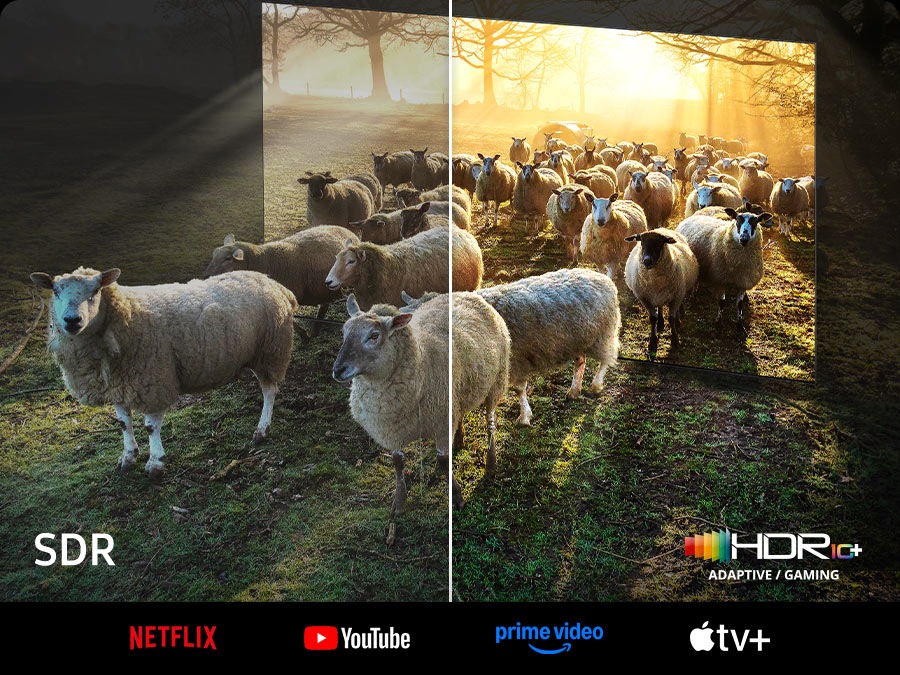 Sheep are coming out from a Neo QLED TV. There is a comparison between SDR and HDR 10+ ADAPTIVE/GAMING quality in color and brightness.