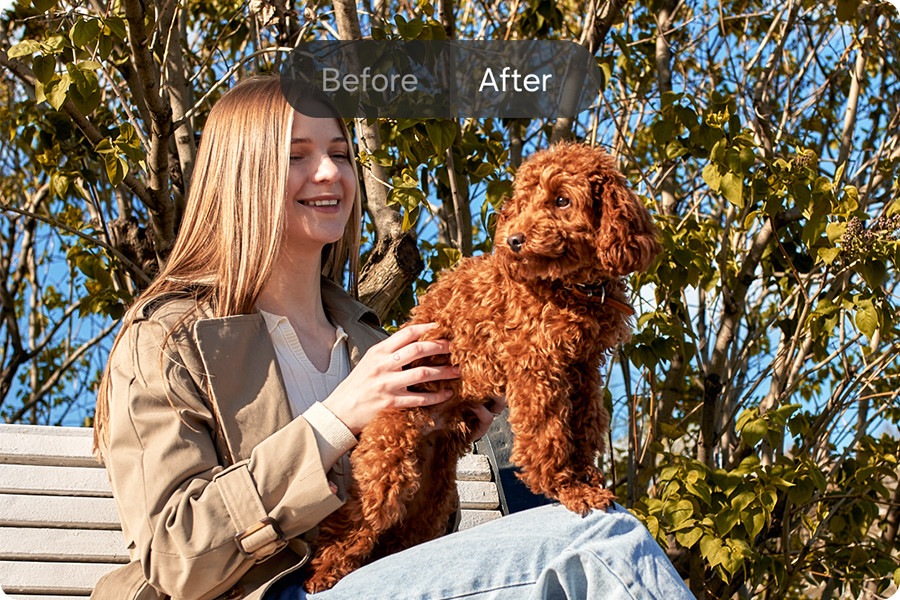 Before and After image of a young woman and her dog sitting on a park bench outdoors on a bright day. The After image has been edited with Edit suggestion on Galaxy A57 5G for improved quality.
