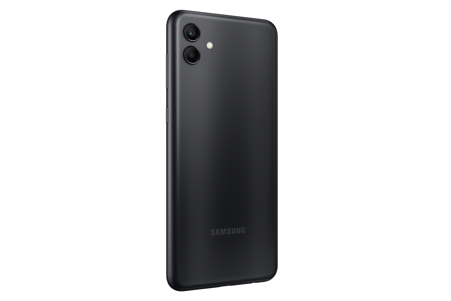 back-l30 Black Beauty