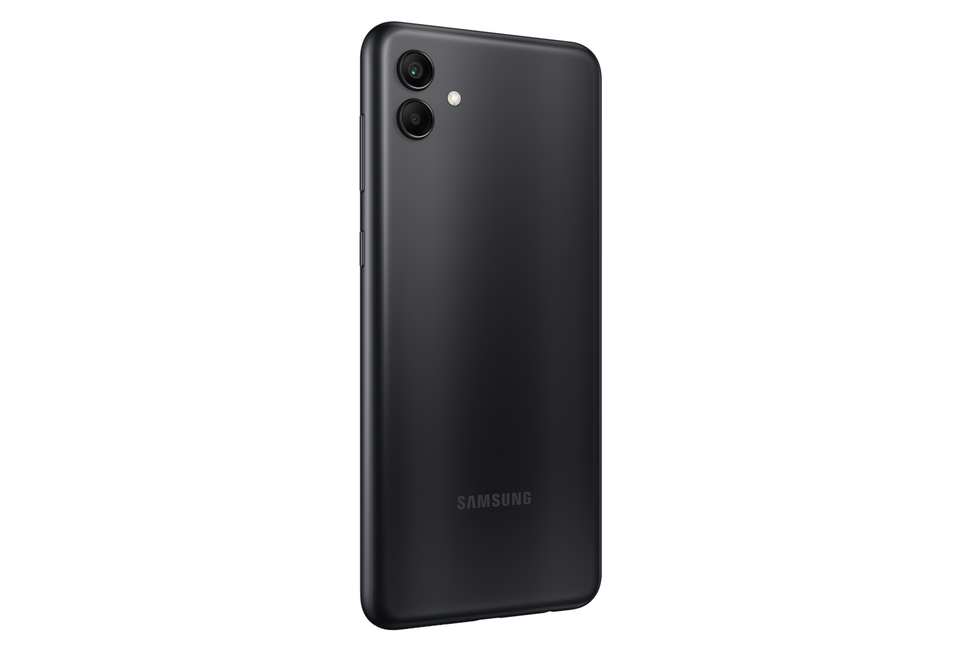 back-l30 Black Beauty