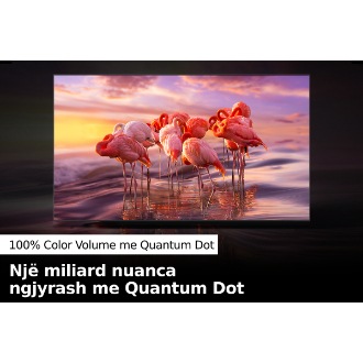 QLED TV Q60B me Color volume 100% ofron një gamë të plotë ngjyrash