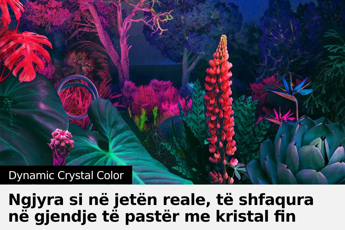 Crystal UHD TV BU8000 me Dynamic Crystal Color ofron një gamë të plotë ngjyrash