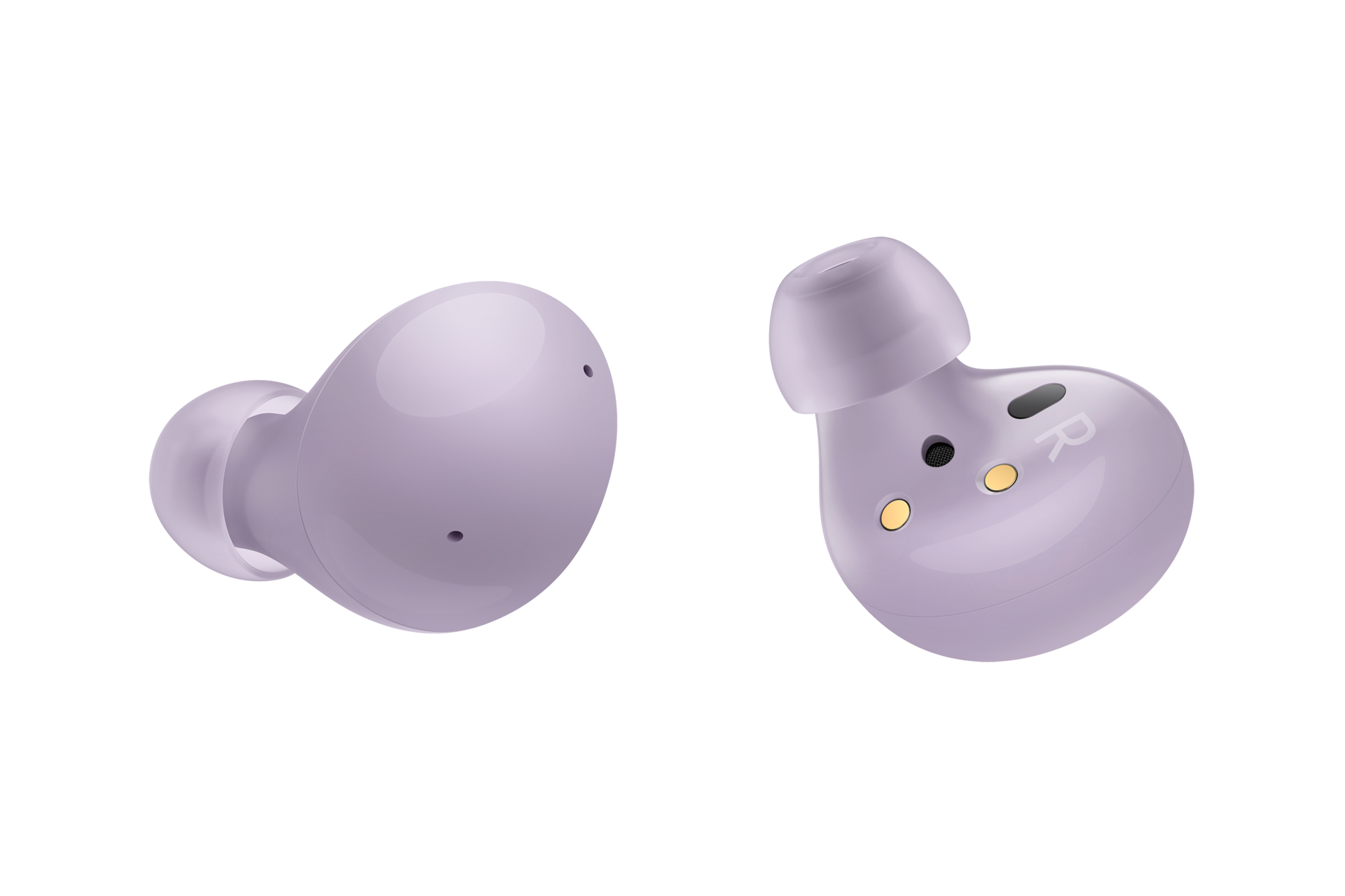 dynamic Lavender