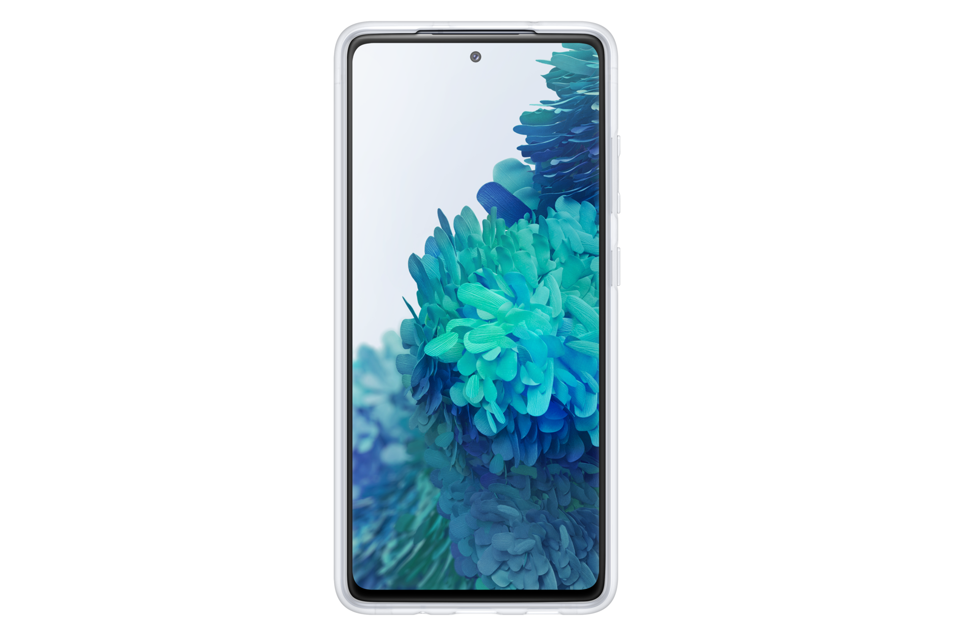 front Transparent
