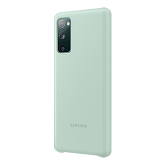 back-30 Mint