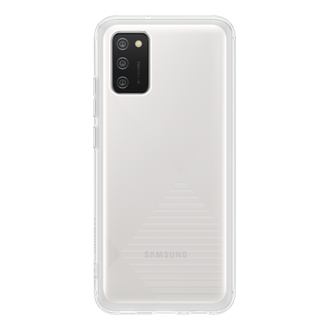 back Transparent