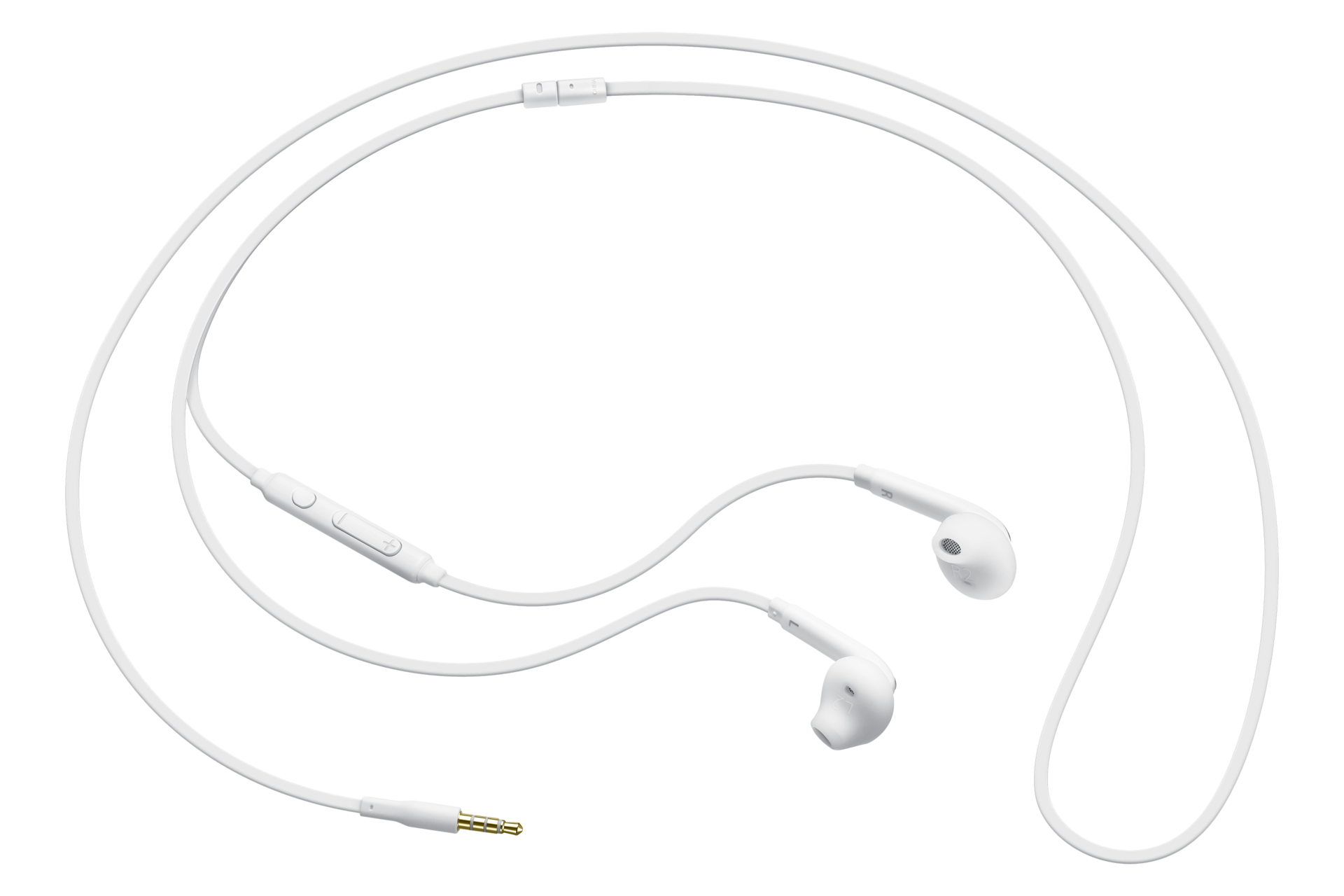 dynamic1 white