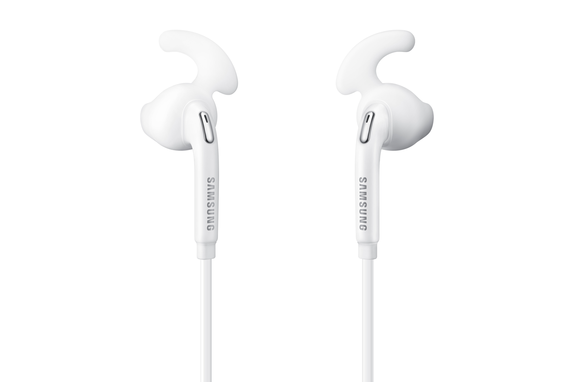 dynamic-back2 white