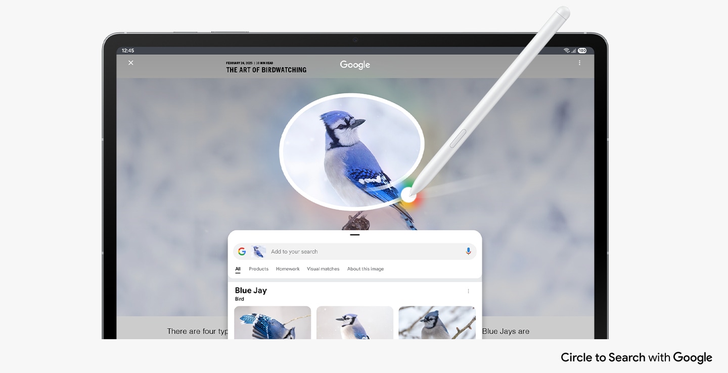 Circle to Search with Google being used on the screen with S Pen on an image of a Blue Jay. Google search results show details about the image. Circle to search with Google logo shown.