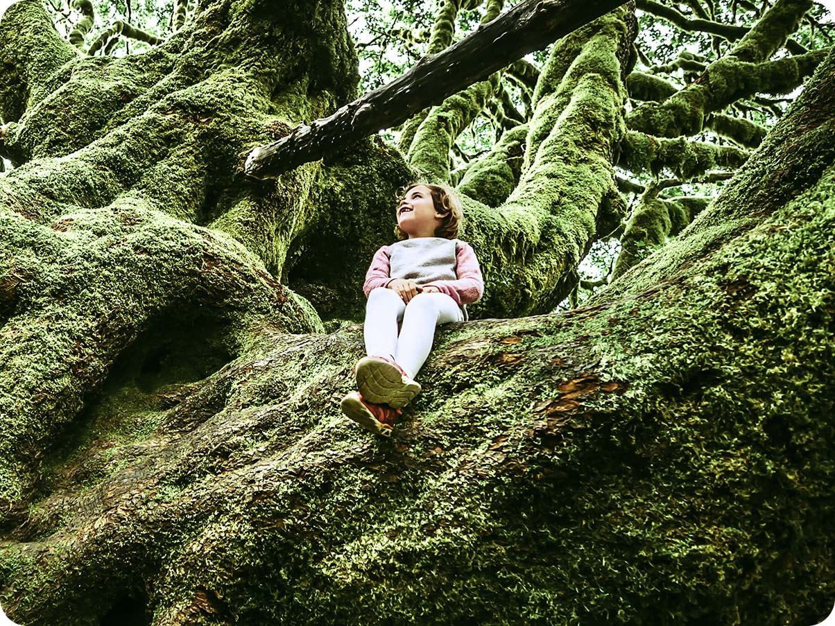 Una niña sentada sobre un árbol grande cubierto de musgo. Es una toma cortada y cercana que muestra a la niña y el centro del árbol. 