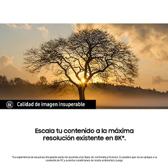 Escala tu contenido a la máxima resolución existente en 8K. Calidad de imagen insuperable