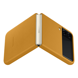 dynamic Mustard