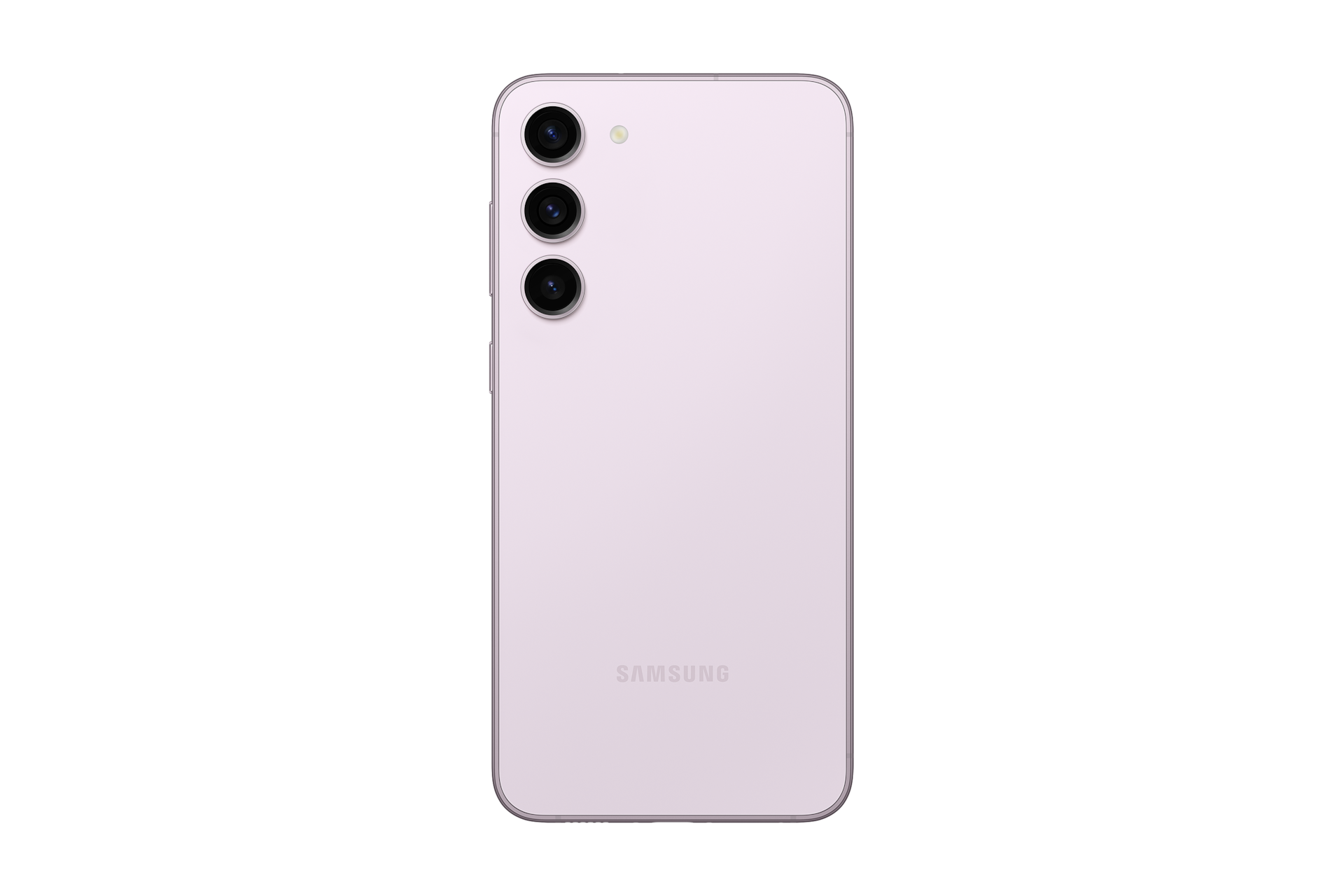 back Lavender