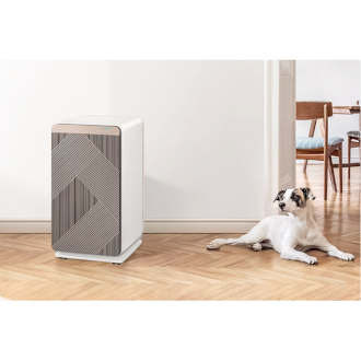 [ÁX70B9550G~Ñ/SÁ] 