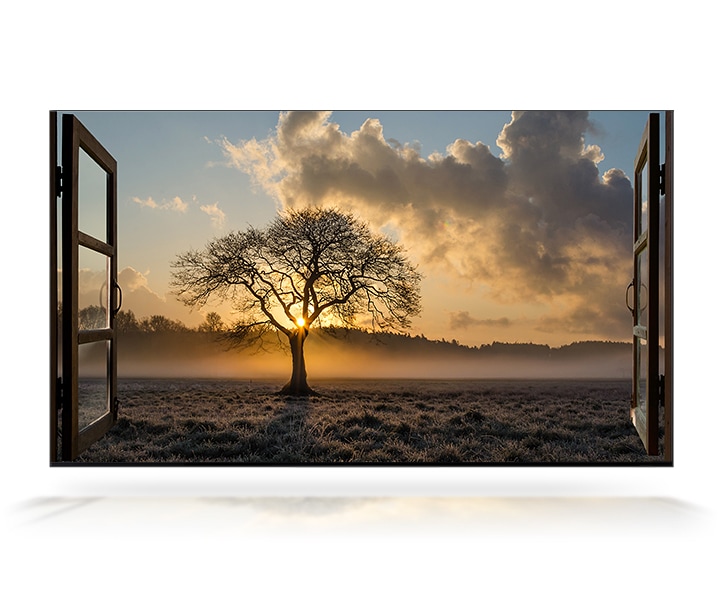 The sun sets out the window and there is a thin tree in a wide field. QLED 8K TV is certified by the 8K Association.