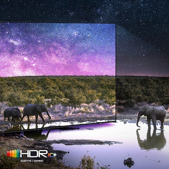 A car is running with lights on through the dense green forest on the TV screen. QLED TV shows accurate representation of bright and dark colors by catching small details.