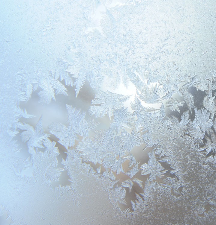 The left side berryes are clean, but the right side berryes are frosted.