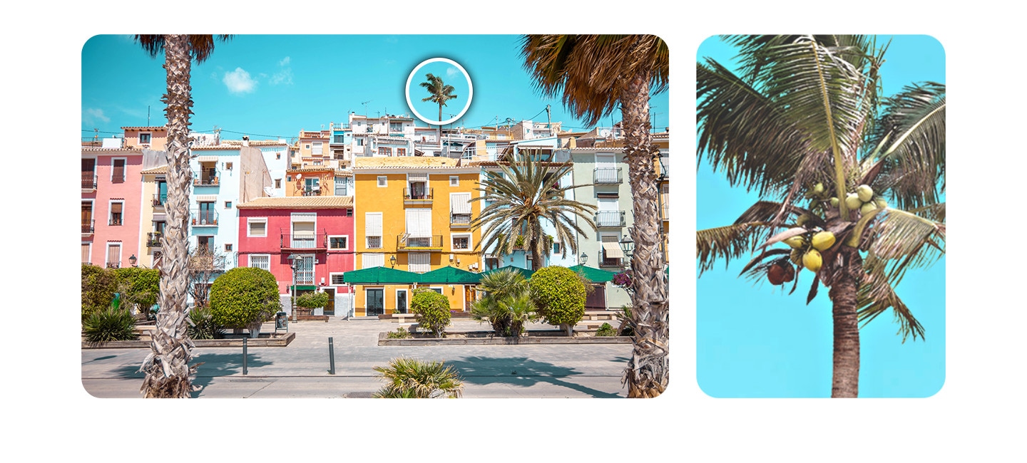 A blurry landscape view of colorful buildings, palm trees and blue sky quickly shifts into focus as a white frame enlarges and captures the shot. The shot zooms in and shifts focus onto a single palm tree over the buildings, which is cut from the rest of the shot and framed. Text below reads 108MP.