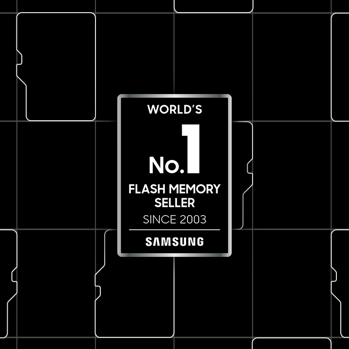 World's No.1 Flash Memory Seller
