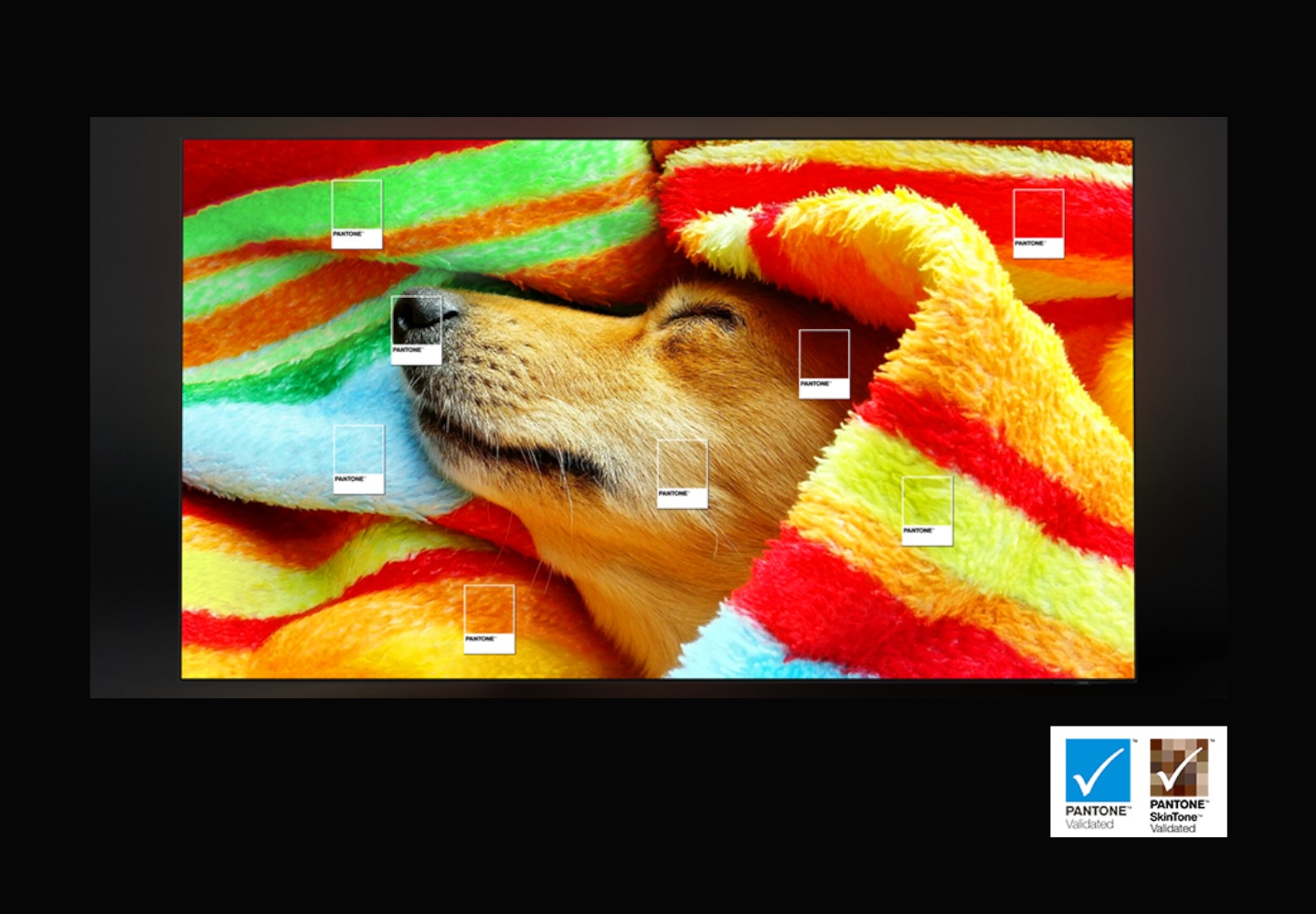 a dog sleeping in a colour towel with the pantone validated logo displaying in the bottom corner